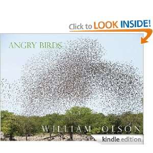 Angry Birds   a short story William Olson  Kindle Store