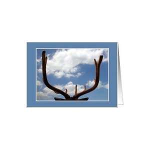  Blank Note Card Antlers Against Cloudy Sky Card Health 