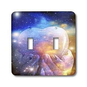   Art  Photography   Light Switch Covers   double toggle switch Home