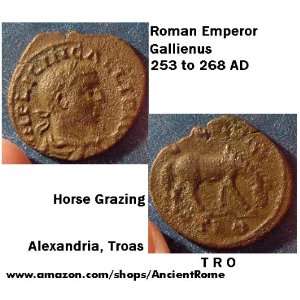 253 to 268 AD. Roman Emperor GALLIENUS. Horse Grazing. Alexandria 