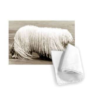  Puli dog   long hair in dreadlocks unusual.   Tea Towel 