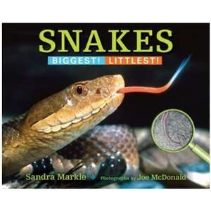   Learning Products 8874 Snakes   Biggest Littlest