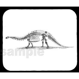  Apatosaurus (Brontosaurus) Skeleton Mouse Pad Everything 