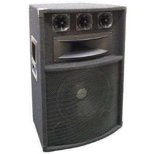    Exclusive 12 Five Way Pro Audio Speaker By Pyle Electronics