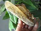 320g NATURAL old QUARTZ crystals from Valley CHINE collection