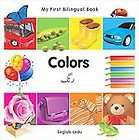 NEW Urdu for Children, Book 1 Teachers Manual   Alvi,