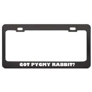 Got Pygmy Rabbit? Animals Pets Black Metal License Plate Frame Holder 