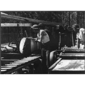  CCC enrollees cutting timber,military reservation,land 