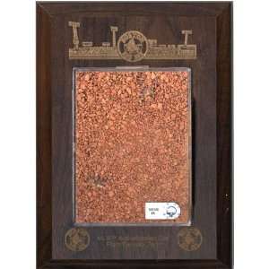   Red Sox Logo and Game Used Dirt from Fenway Park