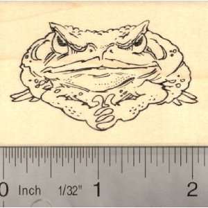  Cane Toad Rubber Stamp Giant Neotropical Toad, South 