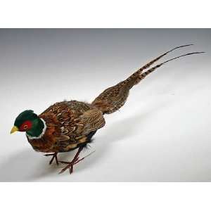 30 Artificial Feathered Male Pheasant   Life Size Realistic Bird for 