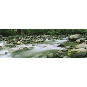 Little Pigeon River, Great Smoky Mountains National Park 