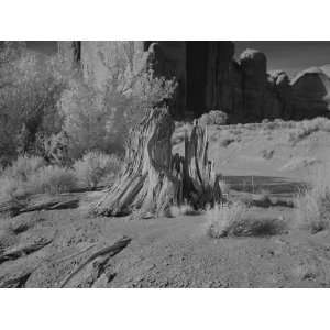 Arizonas Monument Valley, Infrared View   16x20   Fine Art Gicl  e 