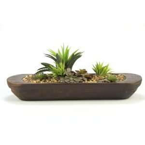  Succulent And Echeveria In Oblong Wooden Planter Patio 