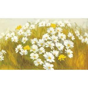 White Yellow Daisies by Cuca Garcia. size 39.25 inches width by 23.25 