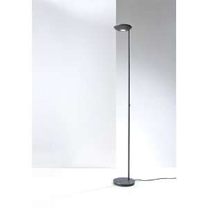   TALL FLOOR LAMP 2625 Led Hbob Polished Brass