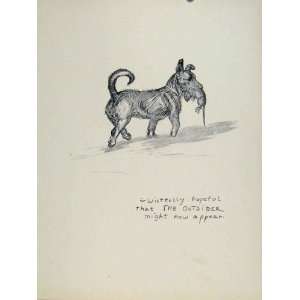   Hound Dog Pet Animal Rat Hunt Sketch Drawing Art Old