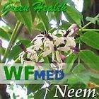 oz Neem PURE Oil   Antifungal for Plants and Humans