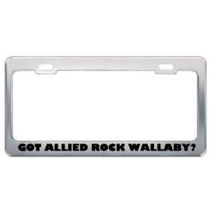 Got Allied Rock Wallaby? Animals Pets Metal License Plate Frame Holder 
