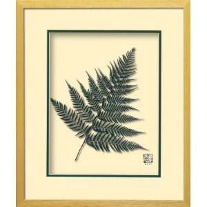  Austral Fern (Authentic Preserved Botanical) , 17x20