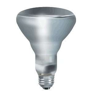   Philips Infrared Clear Reflector Spot Light Bulb