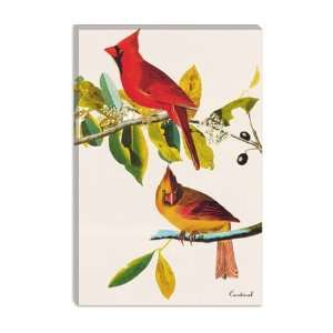 Cardinal by John James Audubon Canvas Painting 