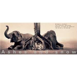   ) (Ashes and Snow Posters) (9781933632650) Gregory Colbert Books