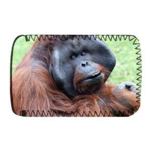  An orangutan with fruit at Twycross Zoo,   Protective 