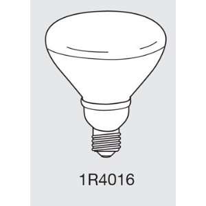   Floodlight Compact Fluorescent Light Bulb