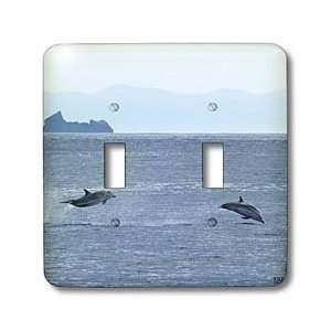   Azores Islands, Portugal   Light Switch Covers   double toggle switch