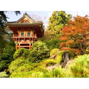 Japanese Tea Garden, Golden Gate Park, San Francisco, California, USA 