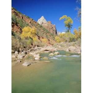  Moroni and the Virgin River in Autumn, Zion National Park, Utah, USA 