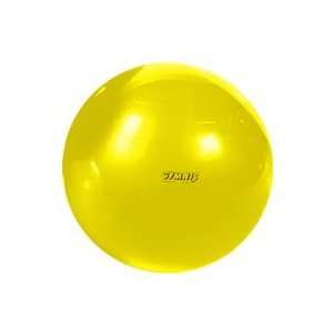  Gymnic Plus Exercise Balls 45 cm (EA)