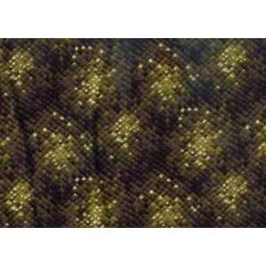  RK8644 169 The Wild Side, Brown Snake Skin Fabric By 