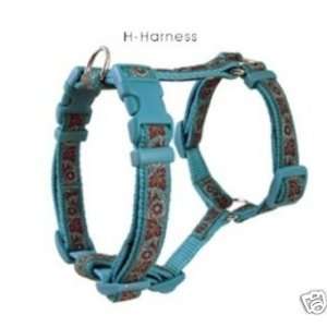   Douglas Paquette Dog H TYPE Harness BROCADE TURQ MED