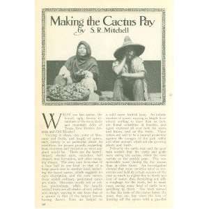  1910 Making Cactus Pay Tunas Fruit Feeding Cattle 