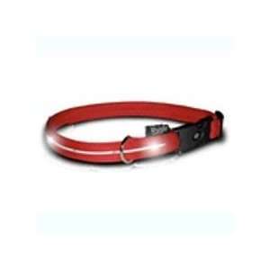  Flipo Group Limited VGCM RED Red Nylon Dog Collar with 
