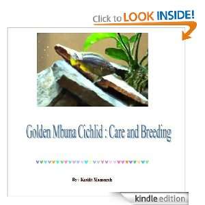 Golden Mbuna Cichlid  Care and Breeding Kasidit Wannurak  