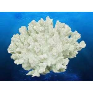  2 Pack Db Coral Replica   Cauliflower Coral 7.5x6x54 