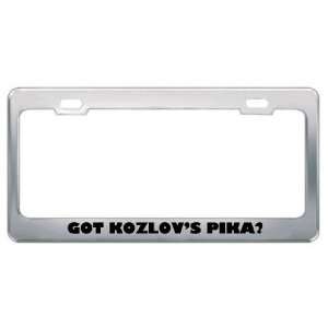  Got KozlovS Pika? Animals Pets Metal License Plate Frame 