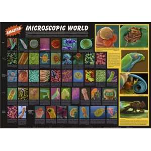   Micrographs Amazing Microscopic World Poster, 36 Length X 26 Height