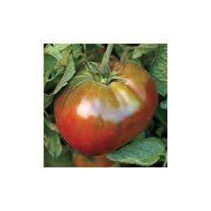  Black Krim Tomato Patio, Lawn & Garden