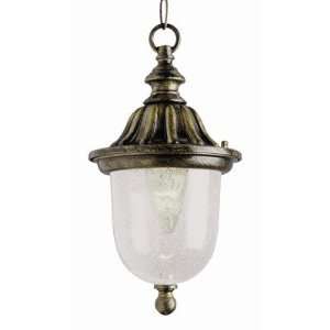 Trans Globe 4185 BG Classic   One Light Outdoor Hanging Lantern, Black 