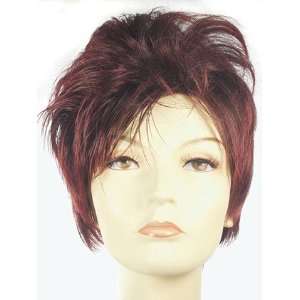  Oz Mom by Lacey Costume Wigs Toys & Games