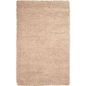   Rizzy Splendor SR 443 Beige 2 Sample Swatch Area Rug