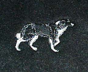  tervuren bernese mountain dog bichon frise bloodhound border collie