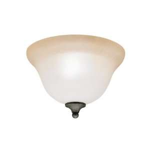 Pomeroy Collection 11 Wide Ceiling Light Fixture