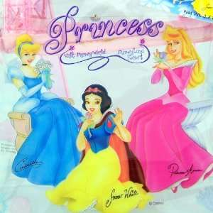  Disneyland Resort Princess Cinderella Snow White and Auroa 