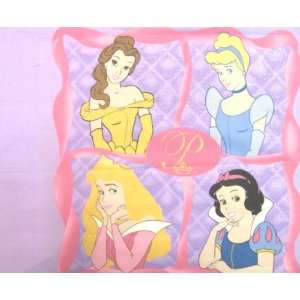  Disney Princess  Throw Pillows 2 Fabric Fat Quarters (17 X 
