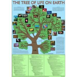  Tree of Life Poster